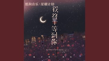 我终于等到你（我终于终于等到你）