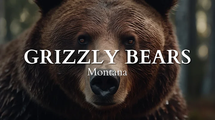 Grizzly Bears in Montana (2 Minute Documentary)