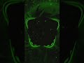 GALACTIC PULSE #bass #electronicmusic #bassboosted #music #2025