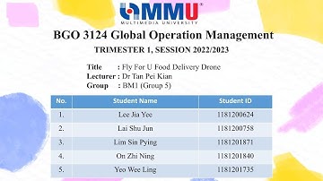 BGO3124 Fly For U Food Delivery Drone