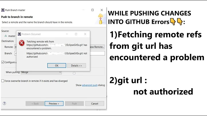 fetching remote refs from github url has encountered a problem || github url not authorized