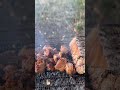 #music #song #lovesong #barbeque #nature #camping