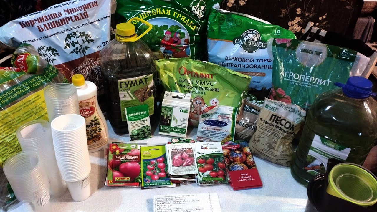 Томаты!!! Какие выбрать, когда сеять, во что сеять, что добавить, чем ...