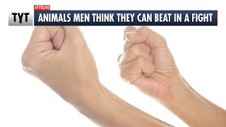 Poll Reveals Men Overestimate Their Chances Fighting Animals