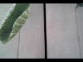 美国个人银行卡申请/ITIN申请,美国私人地址供应商选择anytime mailbox 还是选择iPosttal1 /个人亲身经历比较分析