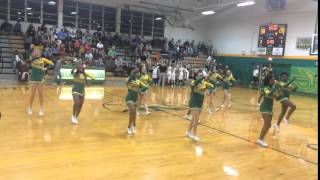 NRHS Varsity Cheerleaders 2015