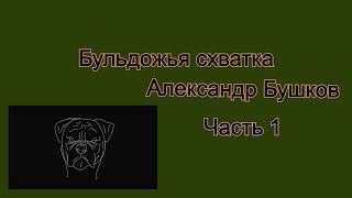 Аудиокнига. Александр  Бушков. Бульдожья схватка. Часть 1.