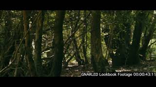 GNARLED: 2025 Folk Horror short film: LookBook footage, lens/location tests #BTS @FuturistMedia