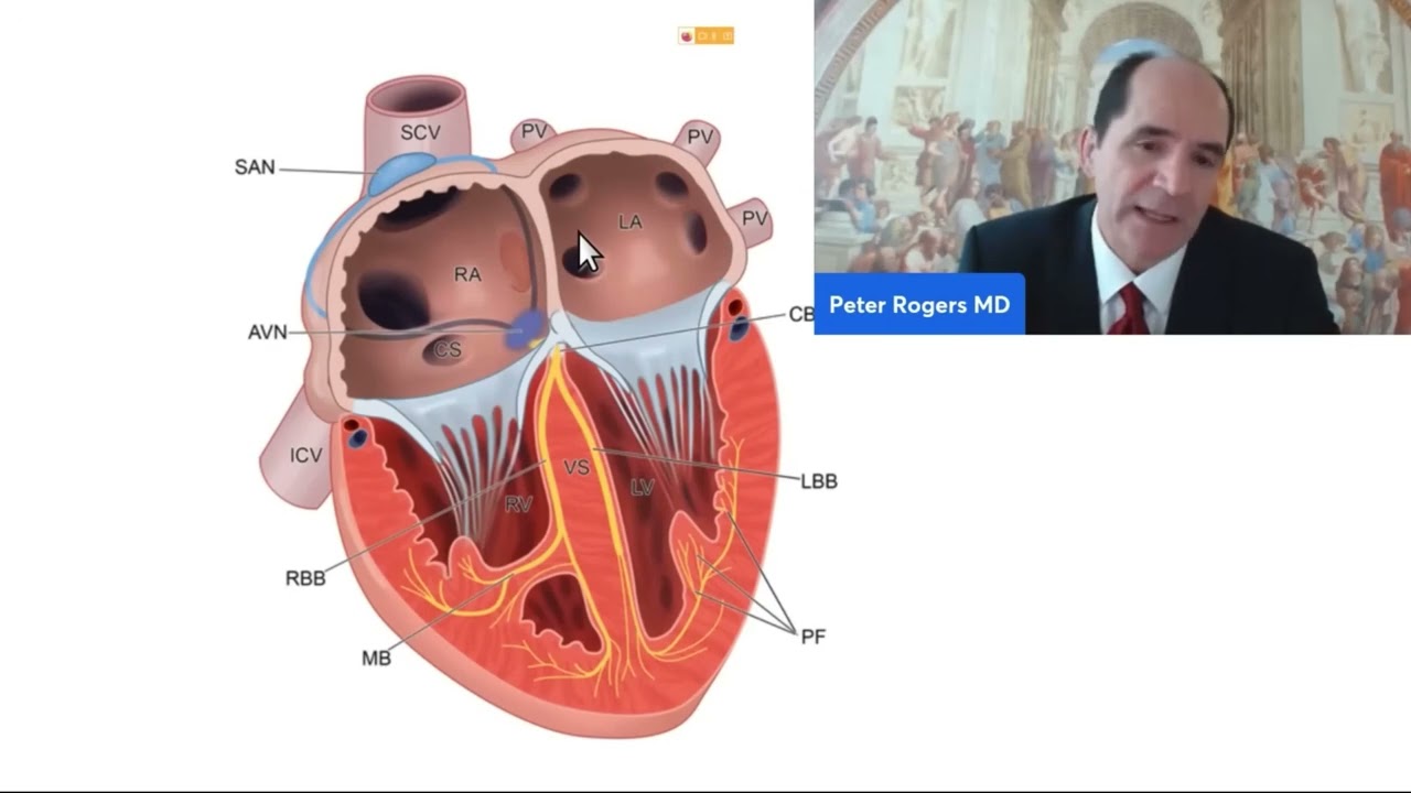 Врачи скрывали это! Настоящие причины Фибрилляции предсердий! Доктор Питер Роджерс