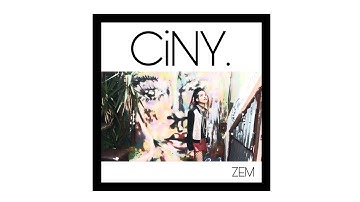 ZEM VN - Cheetah In New York (Music Video)