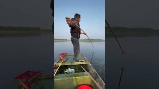 OMG Awesome Shooting Fish ,techniques Fishing 🐟 #Shorts