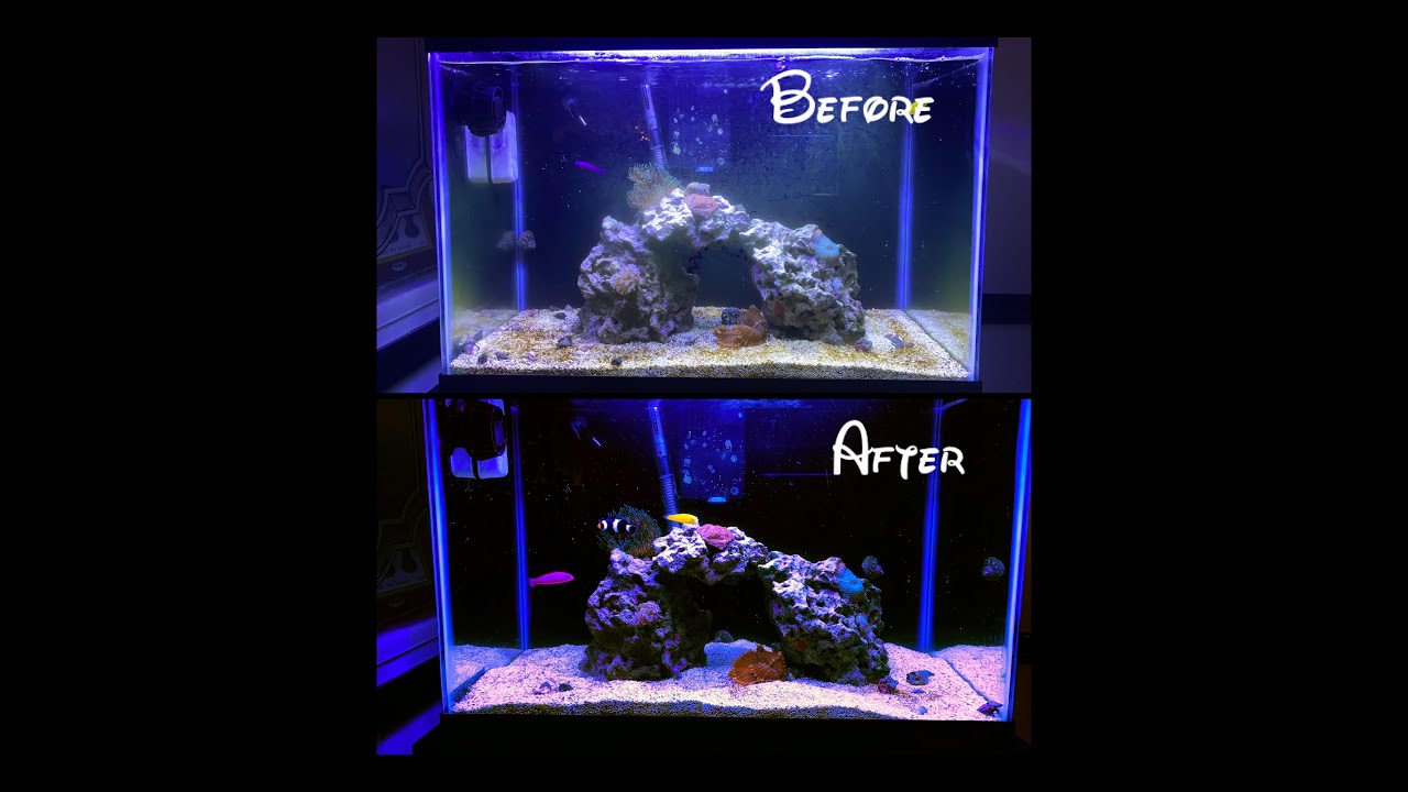 how to water change on a saltwater aquarium YouTube