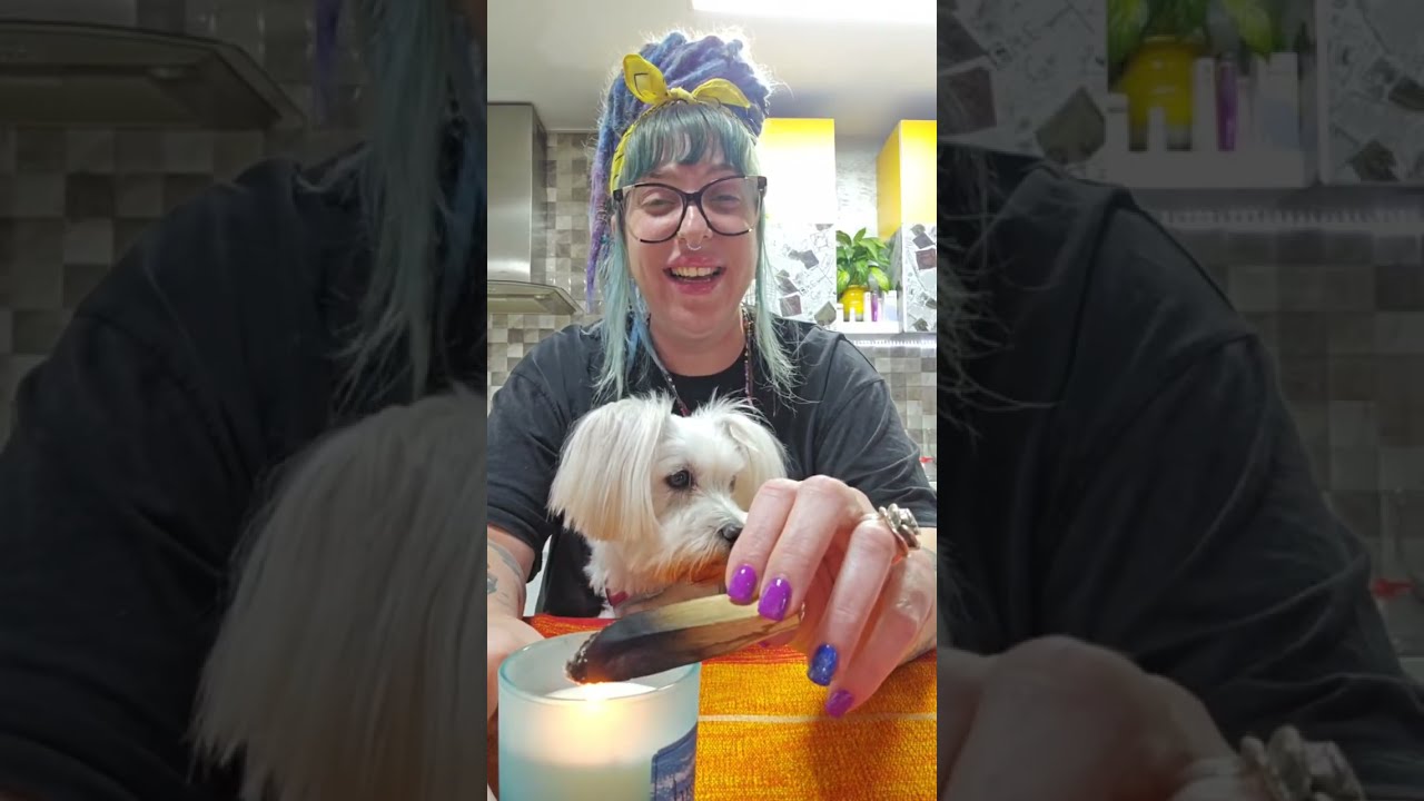 תודעת שפע ברוכה הבאה ישתבח שמו לעד👑💜💪💫