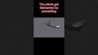 Adam Air Flight 574 #plane #crash