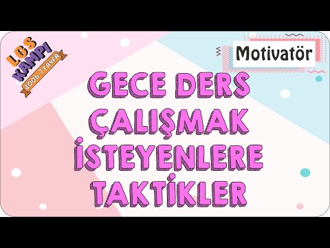 Gece Ders Çalışmak İsteyenlere Taktikler |  Motivatör (Rehberlik)