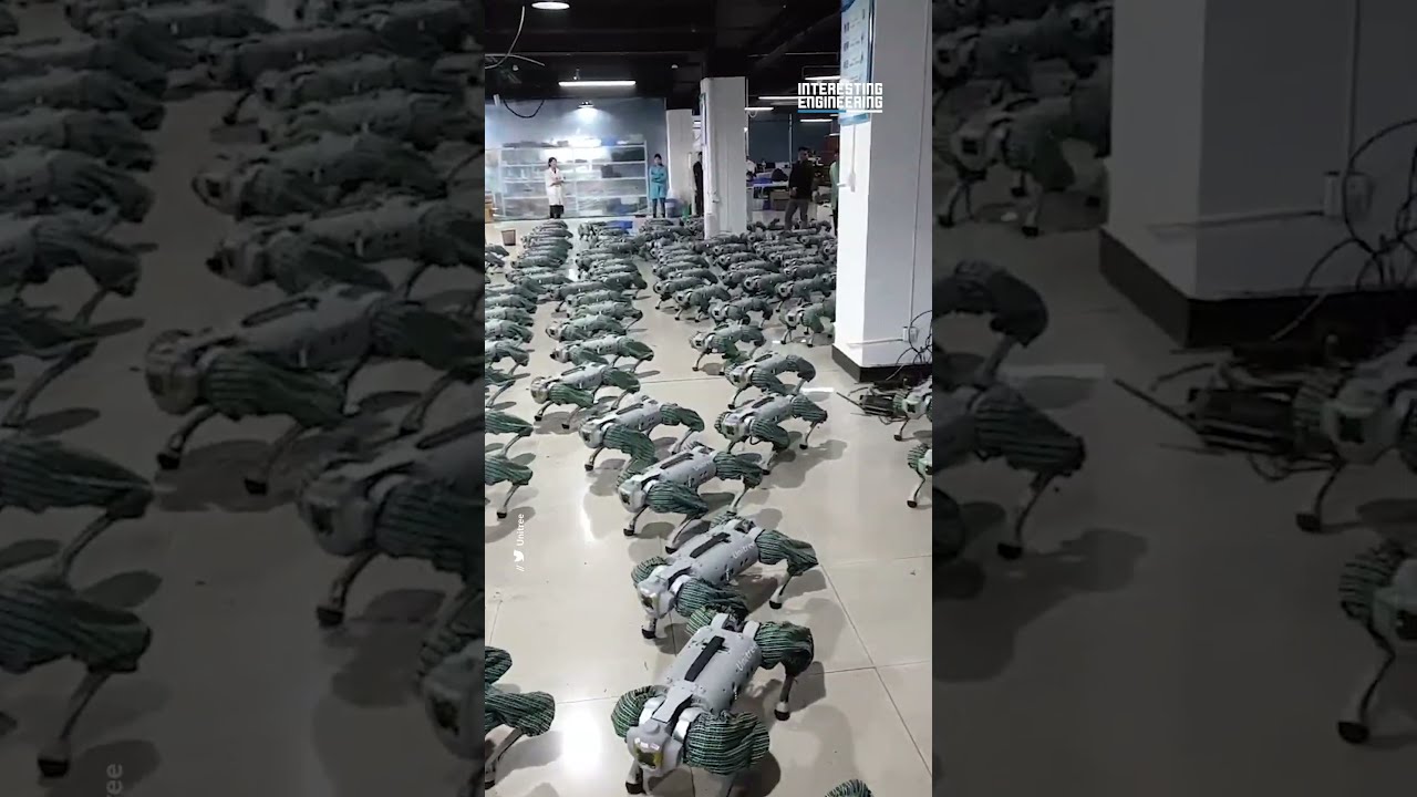 The Robots Are Coming