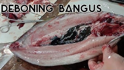 How to debone a bangus (Boneless bangus) Milkfish