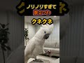キザすぎる。