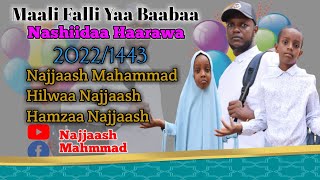 Download Lagu Maali falli HAmza \u0026 Hilwaa MP3 Download Lagu Maali falli HAmza \u0026 Hilwaa MP3