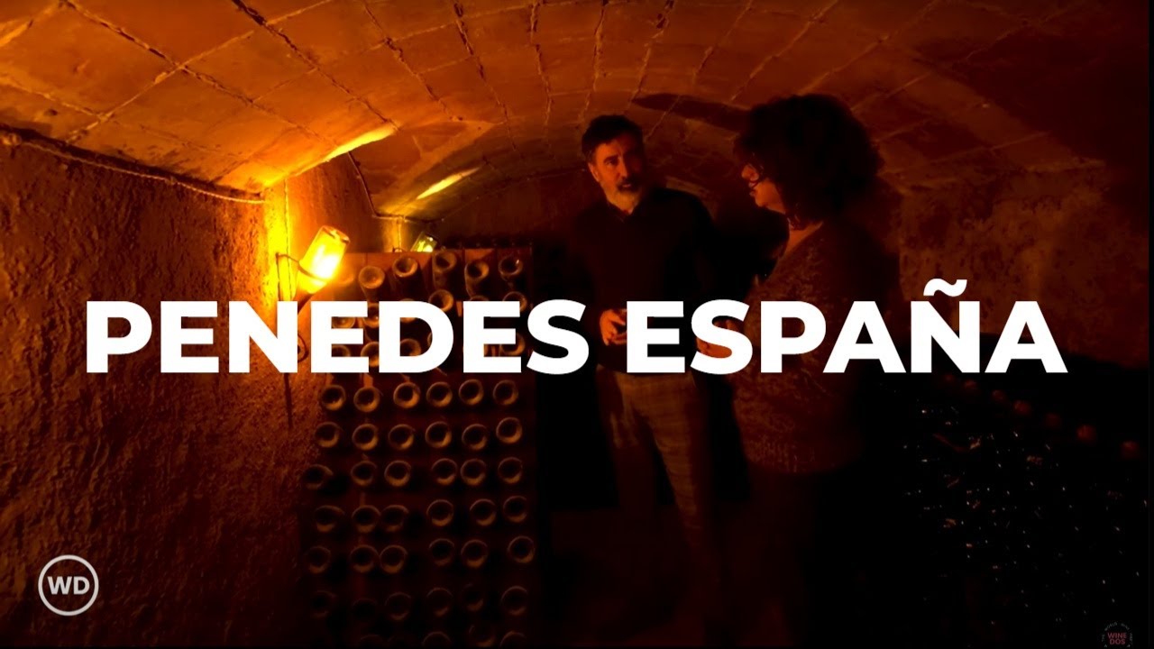 Los Secretos Del Penedés: La Cuna Del Vino En Catalunya