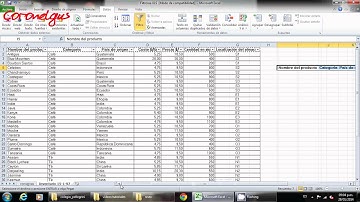 video tutorial excel 2010 autofiltros y filtros avanzados español