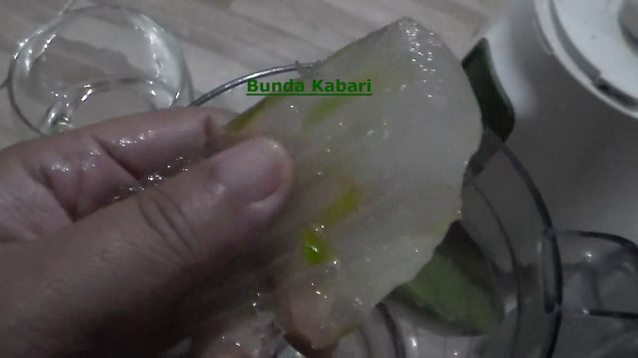 Sakit Maag, Asam Lambung Dan Luka Tukak Lambung Sembuh Total Dengan