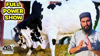 TOOFANI Bachron ne Game Change Kar Di 🔥 2026 Collection Reveal!