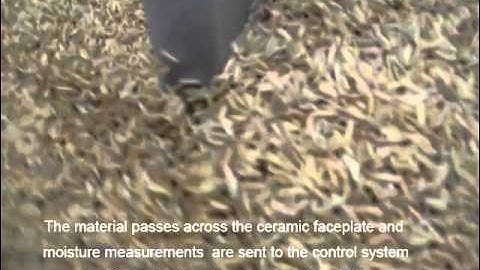 Measuring moisture in rice on a conveyor using a Hydronix Sensor