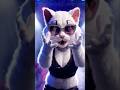 cat dance funny video #cinematic #aivideo #funny