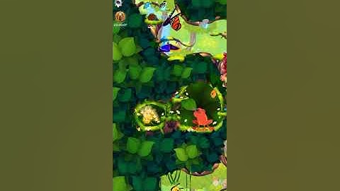 Flutter butterfly sanctuary - My frog is having a party