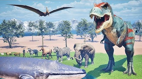 Animal Size Comparison | 3d Animation Comparison | Smallest to Largest Animals on Earth!