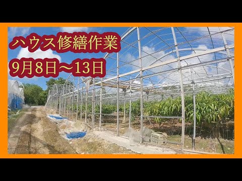 Repairing a house built in 1992 - YouTube