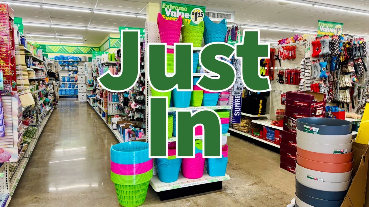 Dollar Tree 2025 | NEW Finds This Week😮😮😮