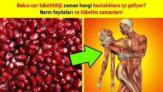 Bakın Nar Tüketildiği Zaman Hangi Hastalıklara İyi Geliyor? Narın Faydaları Ve Tüketim Zamanları