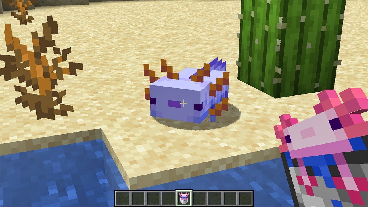 the rarest axolotl color in minecraft - YouTube