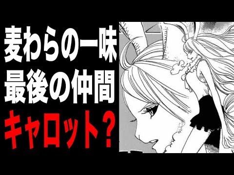 ワンピース 麦わらの一味の最後の仲間は キャロット 説の根拠とは Youtube