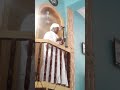 خطبة الجمعة24 8 2018م الشـيخ حسـن البشرى بدوي من مجمـع عثمان الزبيـر