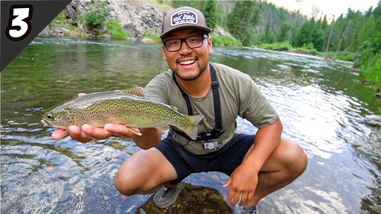 Fly Fishing a Remote Mountain Stream for Trout! (Catch Cook and