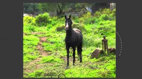 The Magic Erase Tool in Xara Designer Titles