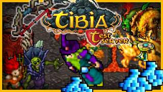 Tibia Test Server - MAZZORAN SEAL RP Hunt Divine Barrage (PROFIT) Net Worth