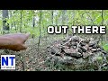 Searching & exploring for lost New England colonial sites in huge forests metal detecting