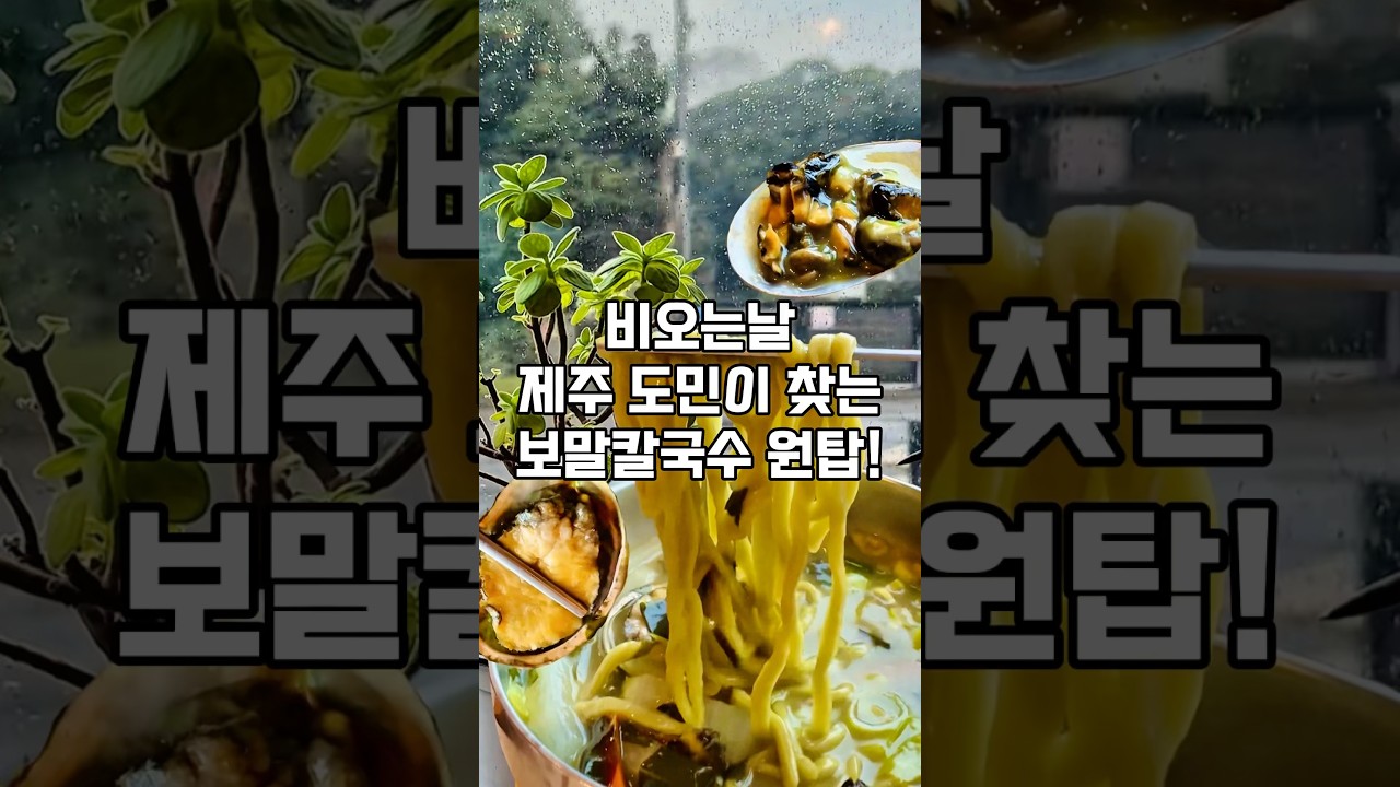 비오는날 제주도민이 찾는 보말칼국수 원탑💚 #shorts #원조교래손칼국수 #제주맛집