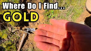 Where To Find GOLD - Metal Detecting Victoria's Golden Triangle