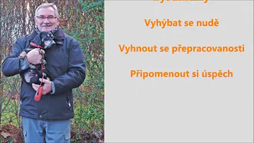 Za jak dlouho se plíce úplně vyčistí?