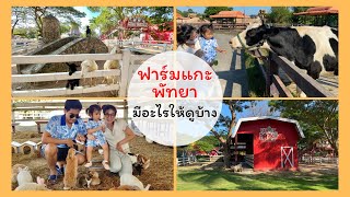 ฟาร์มแกะพัทยา มีอะไรให้ดูบ้าง ? | Pattaya Sheep Farm ฟาร์มแกะใหญ่ที่สุดในประเทศไทย ที่เที่ยวชลบุรี