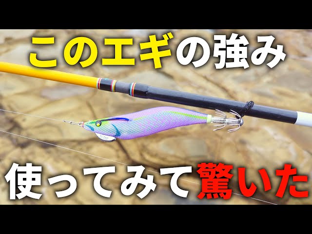 コレは使える！投げて衝撃、春エギングに使えそうな今年発売のエギの
