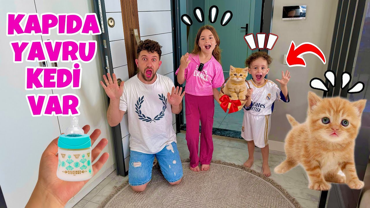 KUZEY ELİF KAPIMIZA KEDİ BIRAKTILAR !! BEBEK BUNLAR !!