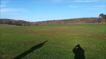 Eflite Blade MCPX BL Sweet 3D Flight John Cokinos