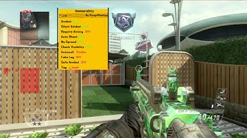 [Bo2/1.19]Immorality V1 Non Host And PreGame Sprx (Esp, Aimbot, Advanced AutoWall And More)!