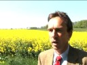Rapeseed Production is Blooming in Germany